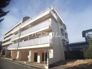 ホワイトガーデンキシの画像