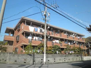 NGMの画像