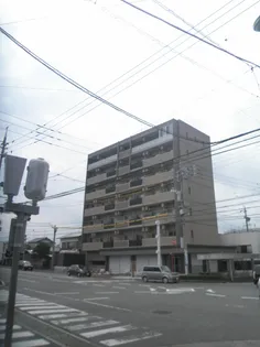 プランドールMの画像