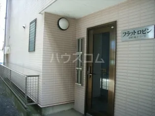 フラットロビンの画像