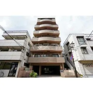 ハイグレイスティーの画像