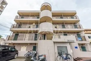 ジュネパレス座間第14の画像