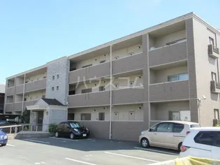 アンピレインの画像