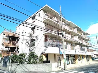 パークハイツ梶ヶ谷B棟の画像