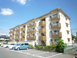 サントラストの画像