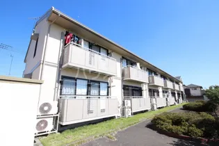 アムールの画像