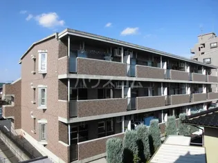 SOLAIRED M ソレアード エムの画像