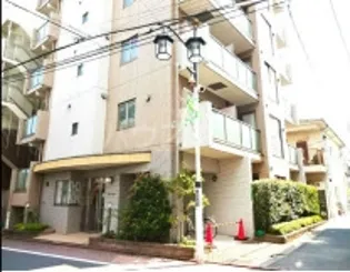 パピエ レイの画像