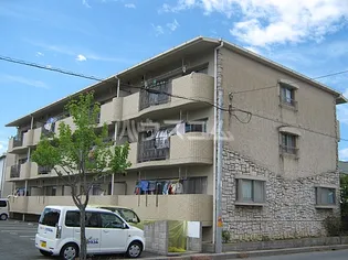 ピエール ノーヴァの画像