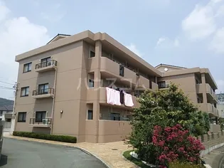 ネオパラドールの画像