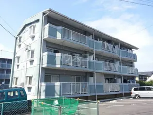 ヴィンテージ本多 IIIの画像