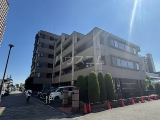 グラースの画像