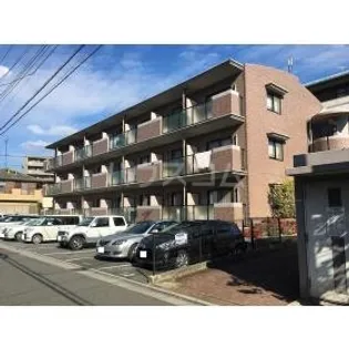 パーシモン アビデの画像