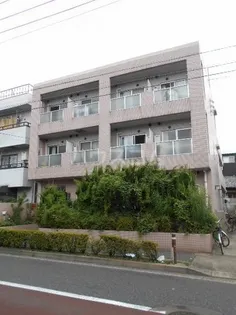 PRESENT 晴の画像