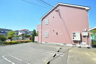 エスティーディップスの画像