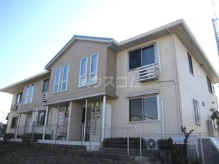 ロイヤルウィットの画像