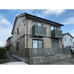 セントポーリアの画像