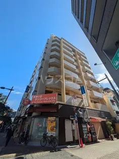 ミラコスタキタミの画像