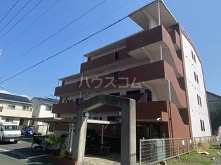 フィオーレ アダチの画像