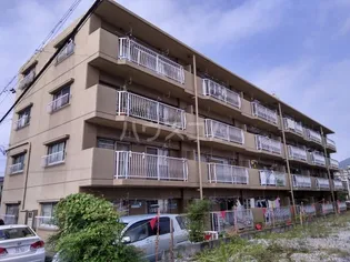 アスカⅡの画像