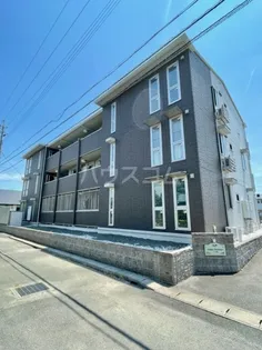 ノール椿の画像