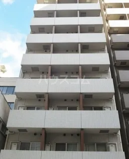 ガリシア大森の画像