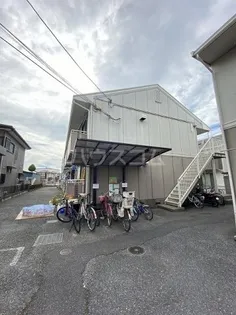ペルルウチヤの画像