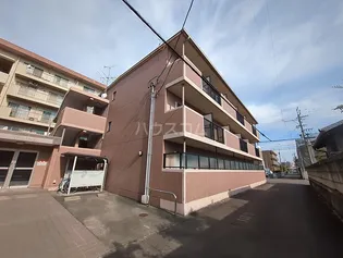 アイレヘイワの画像