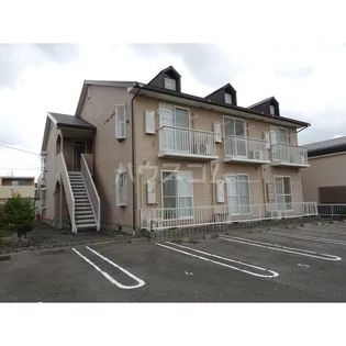 パームコートの画像