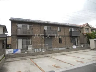 シャインの画像