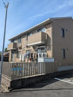 パインフラットの画像