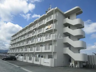 静岡県浜松市中央区根洗町【マンション】の外観