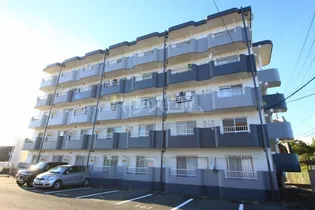 静岡県浜松市中央区根洗町【マンション】の外観