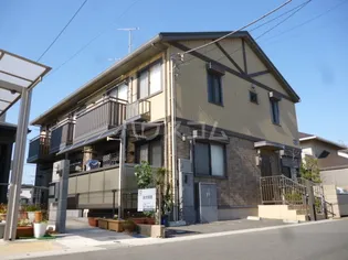 プルメリアの画像