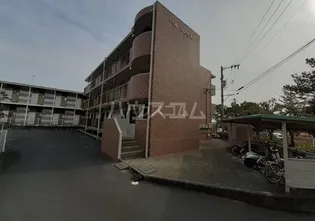 ベルコスモスの画像