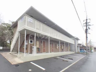 ミステルの画像