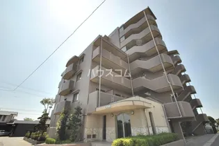 コスモスの画像