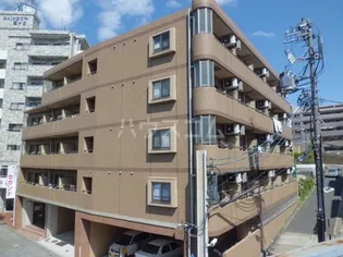 ステラヒルズ【401号室】の外観