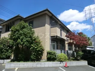 ウィータ ベアータの画像