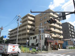 モリスの丘の画像