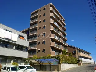 ソレイユ ルヴァンの画像