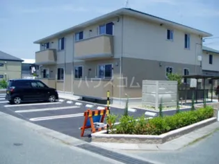 トータスCの画像