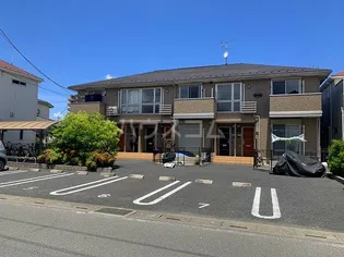 エバーグリーン トキの画像