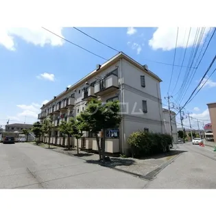 ソフィアBの画像