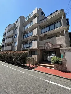 ヴェルドミールの画像