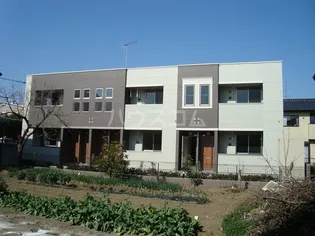 セロシアの画像