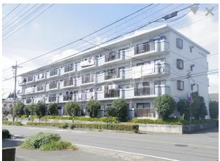 エーデルワイスの画像