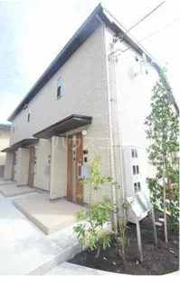 ティールの画像