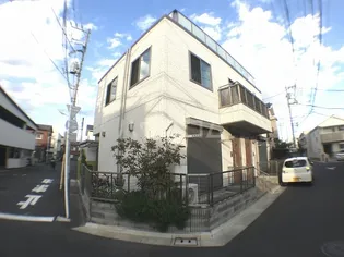 プルメリアの画像