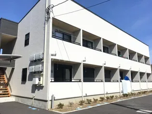 モンペラの画像